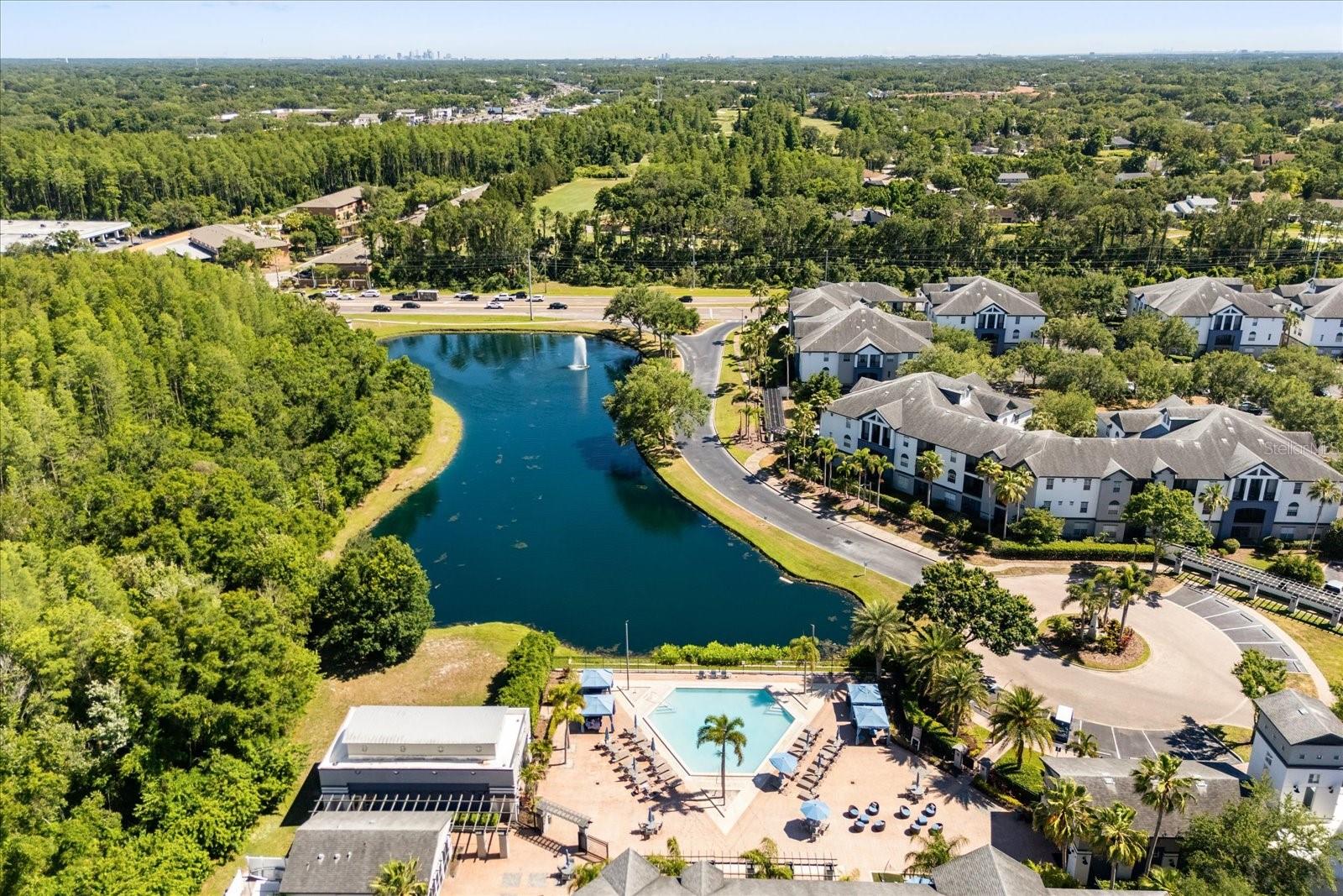 THE VILLAS AT CARROLLWOOD CONDO - Residential
