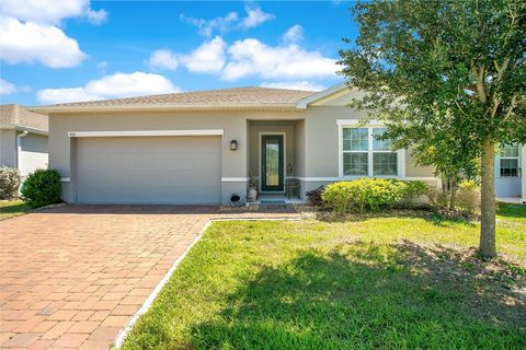 Photo of 432 Winter Solstice Lane, Mount Dora, FL 32757 (MLS # O6352632)