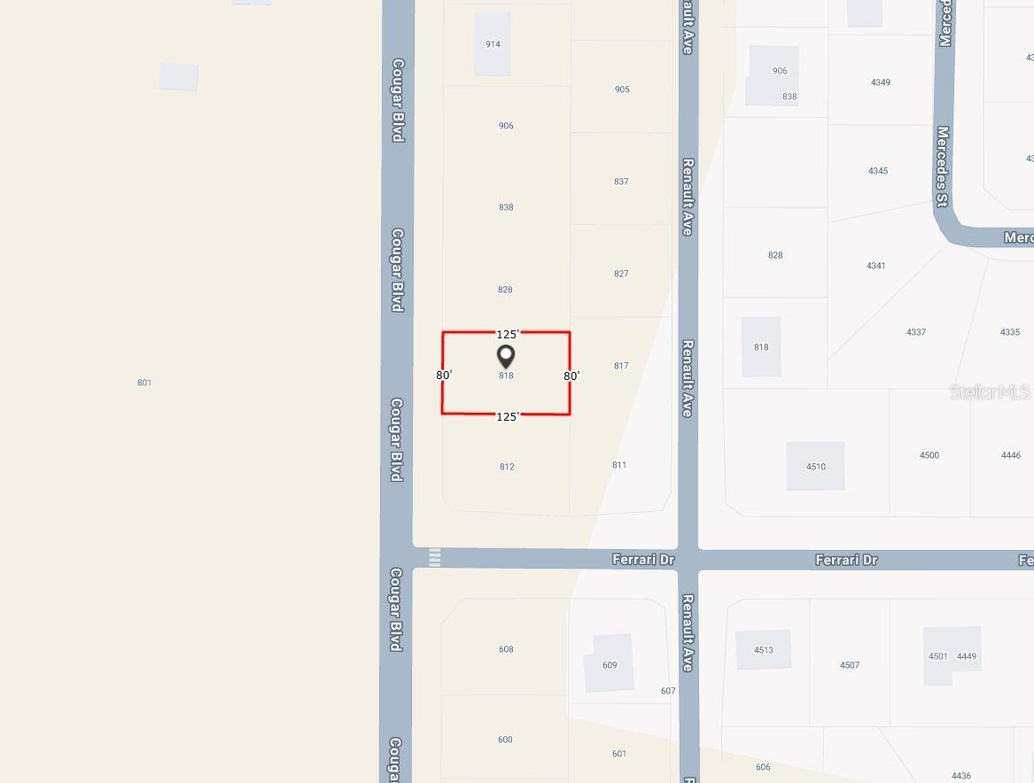 818 COUGAR BOULEVARD