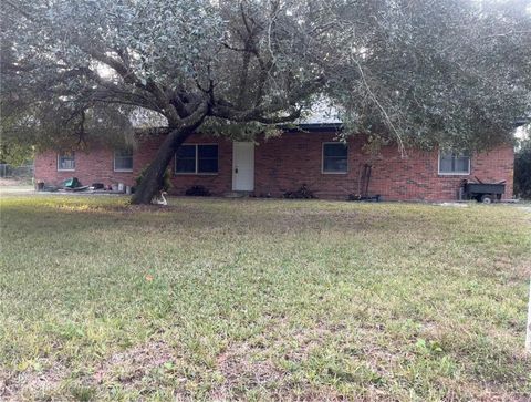Photo of 163 E Orange Avenue, Pierson, FL 32180 (MLS # V4945869)
