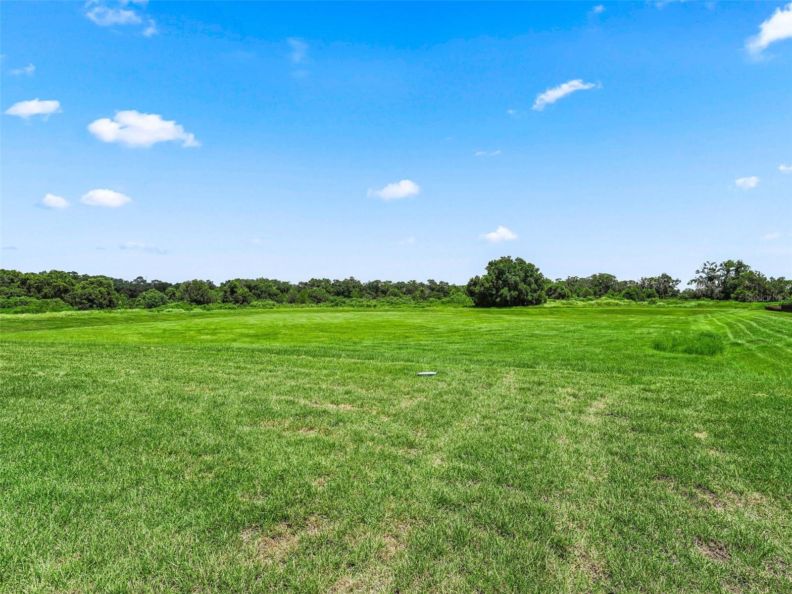 OCALA PRESERVE PH 13 - Residential Lease