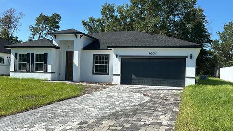 Photo of 16204 SW 27th Terrace Road, Ocala, FL 34473 (MLS # O6347080)