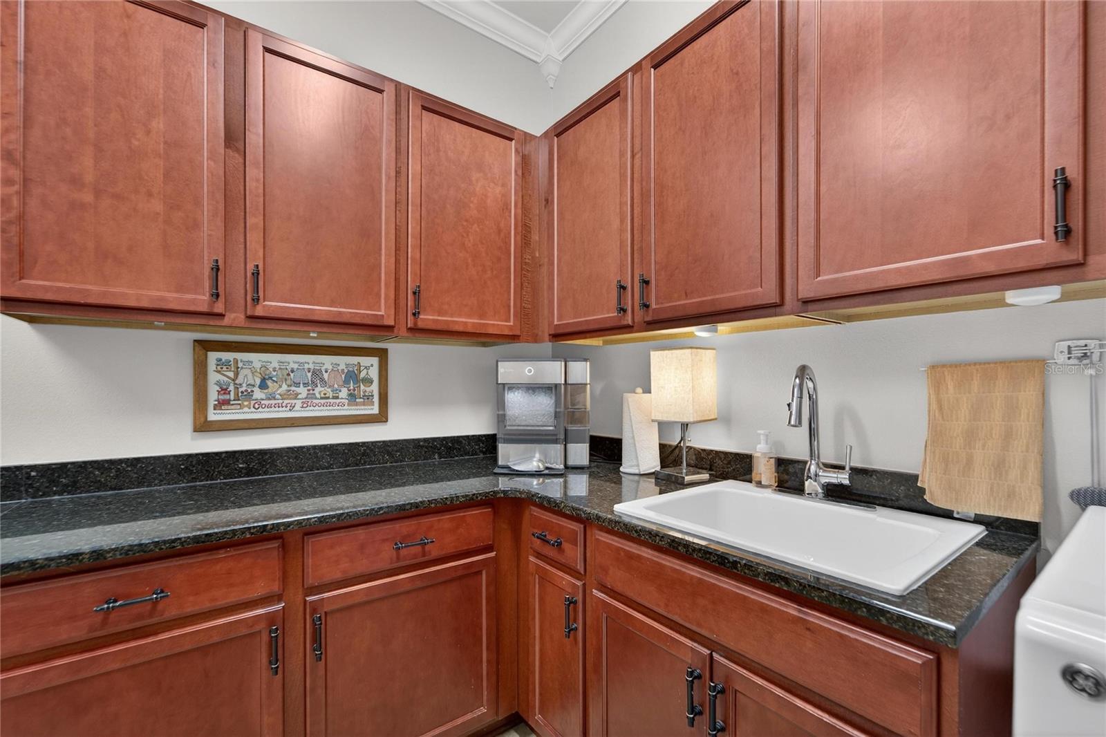 SUN CITY CENTER SIENA 2A - Residential