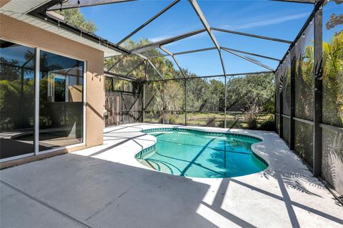 Tiny photo for 12535 Cara Cara Loop, Bradenton, FL 34212 (MLS # A4668264)