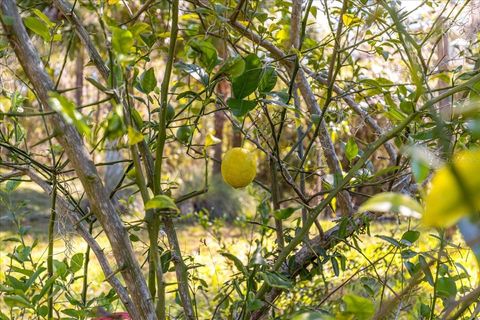 Tiny photo for 8297 SW 196th Court Road, Dunnellon, FL 34432 (MLS # OM713513)