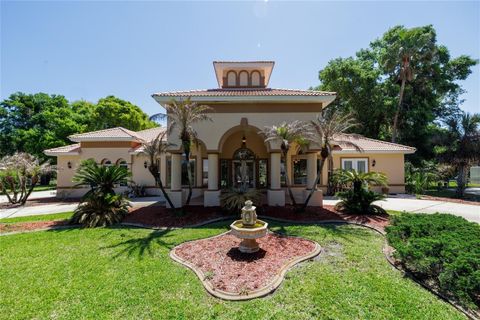 Photo of 58 Emerald Oaks Lane, Ormond Beach, FL 32174 (MLS # NS1086548)