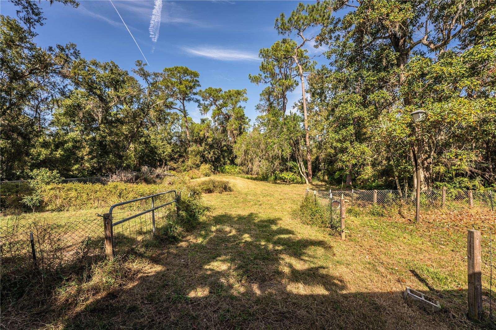 WEBSTER & OMOHUNDRO SUB - Residential
