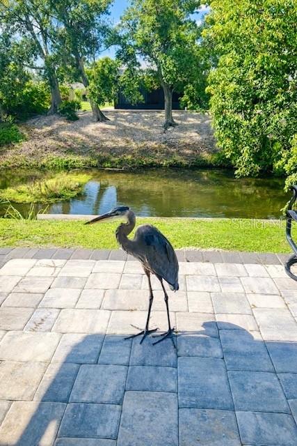 SOUTH GATE - Residential