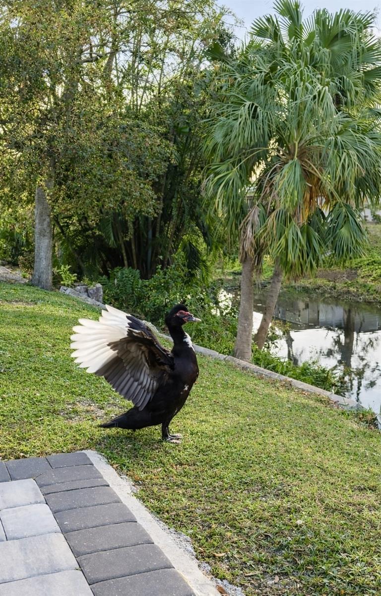 SOUTH GATE - Residential