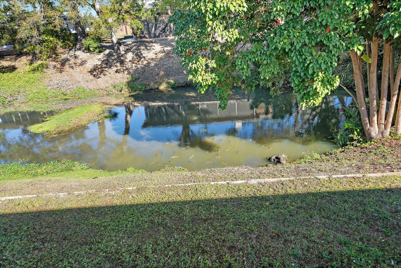 SOUTH GATE - Residential