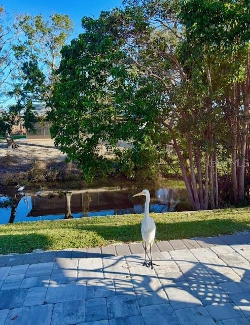 SOUTH GATE - Residential