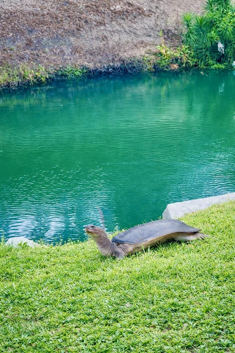 SOUTH GATE - Residential