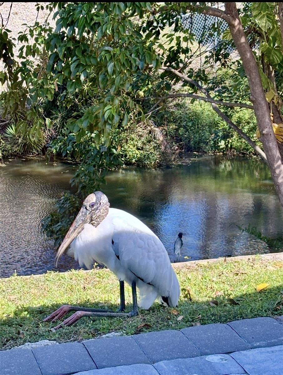 SOUTH GATE - Residential