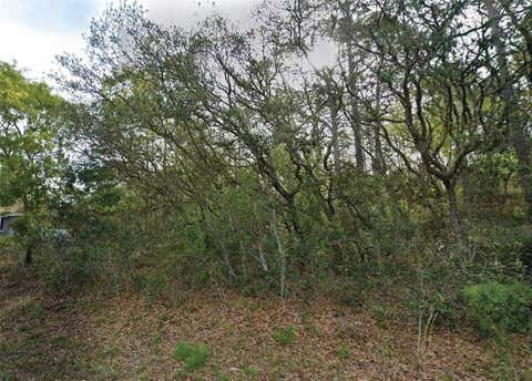 Photo of 7759 N Maltese Drive, Citrus Springs, FL 34433 (MLS # O6427742)