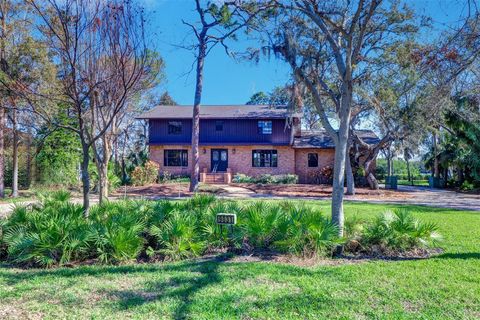 A home in SEMINOLE