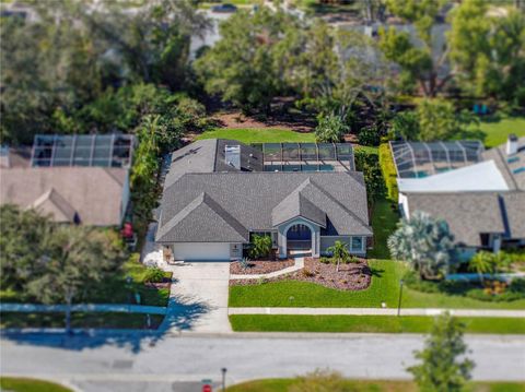 A home in PALM HARBOR