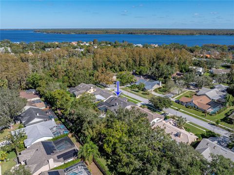 A home in PALM HARBOR