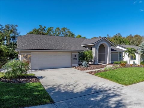 A home in PALM HARBOR