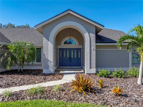 A home in PALM HARBOR