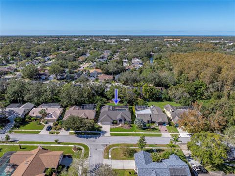 A home in PALM HARBOR