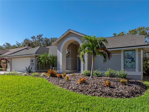 A home in PALM HARBOR