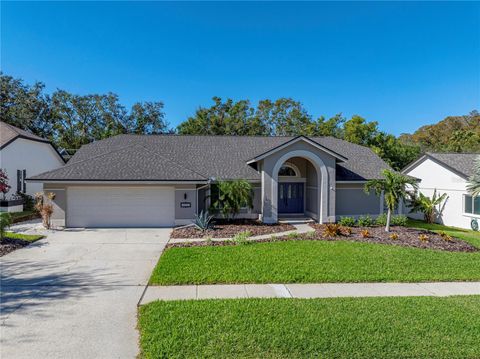 A home in PALM HARBOR