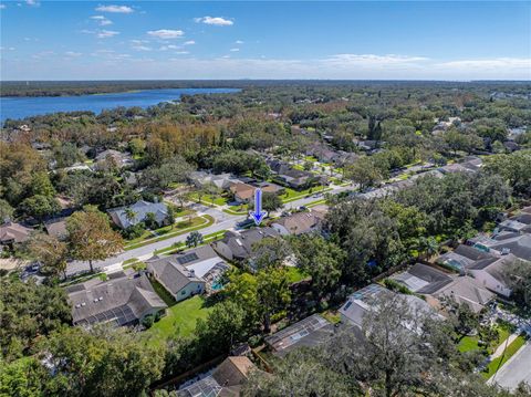 A home in PALM HARBOR