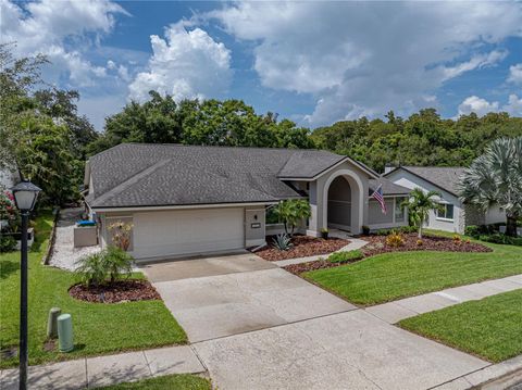 A home in PALM HARBOR