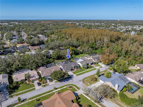 A home in PALM HARBOR