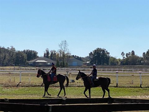 Tiny photo for 12020 N Us Highway 441, Ocala, FL 34475 (MLS # OM718430)