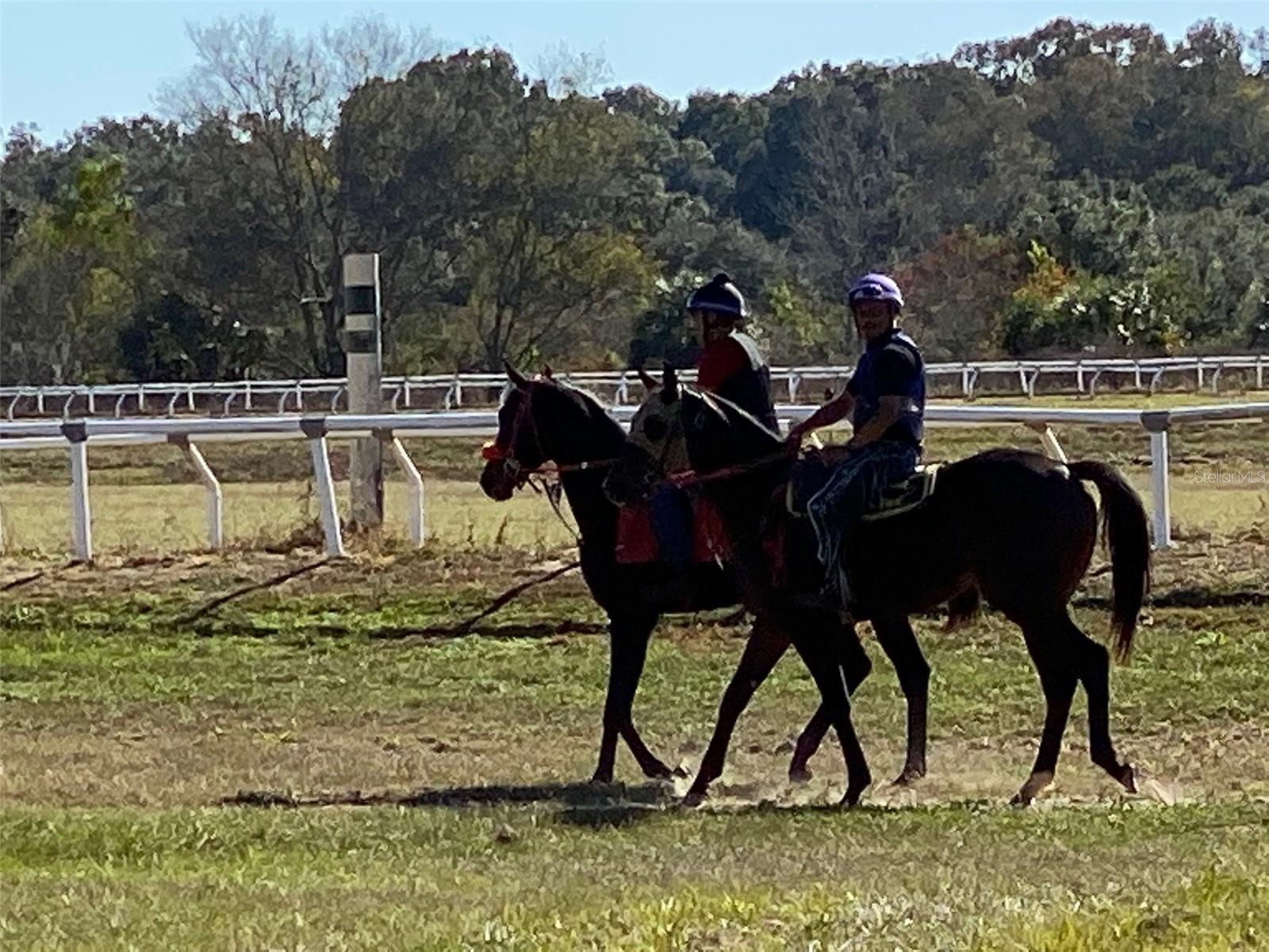 PENINSULA FARM - Residential