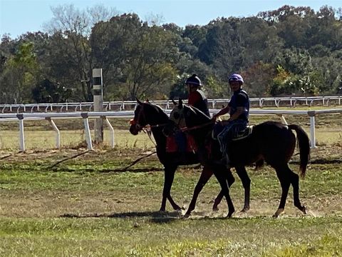 Tiny photo for 12020 N Us Highway 441, Ocala, FL 34475 (MLS # OM718430)