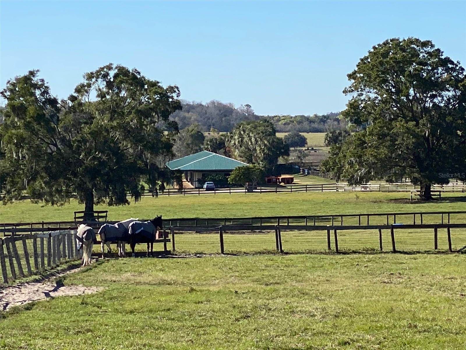 PENINSULA FARM - Residential