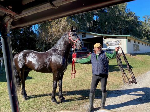 Tiny photo for 12020 N Us Highway 441, Ocala, FL 34475 (MLS # OM718430)