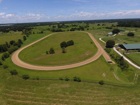 Tiny photo for 12020 N Us Highway 441, Ocala, FL 34475 (MLS # OM718430)