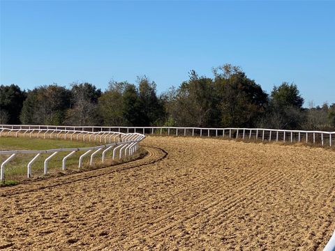 Tiny photo for 12020 N Us Highway 441, Ocala, FL 34475 (MLS # OM718430)