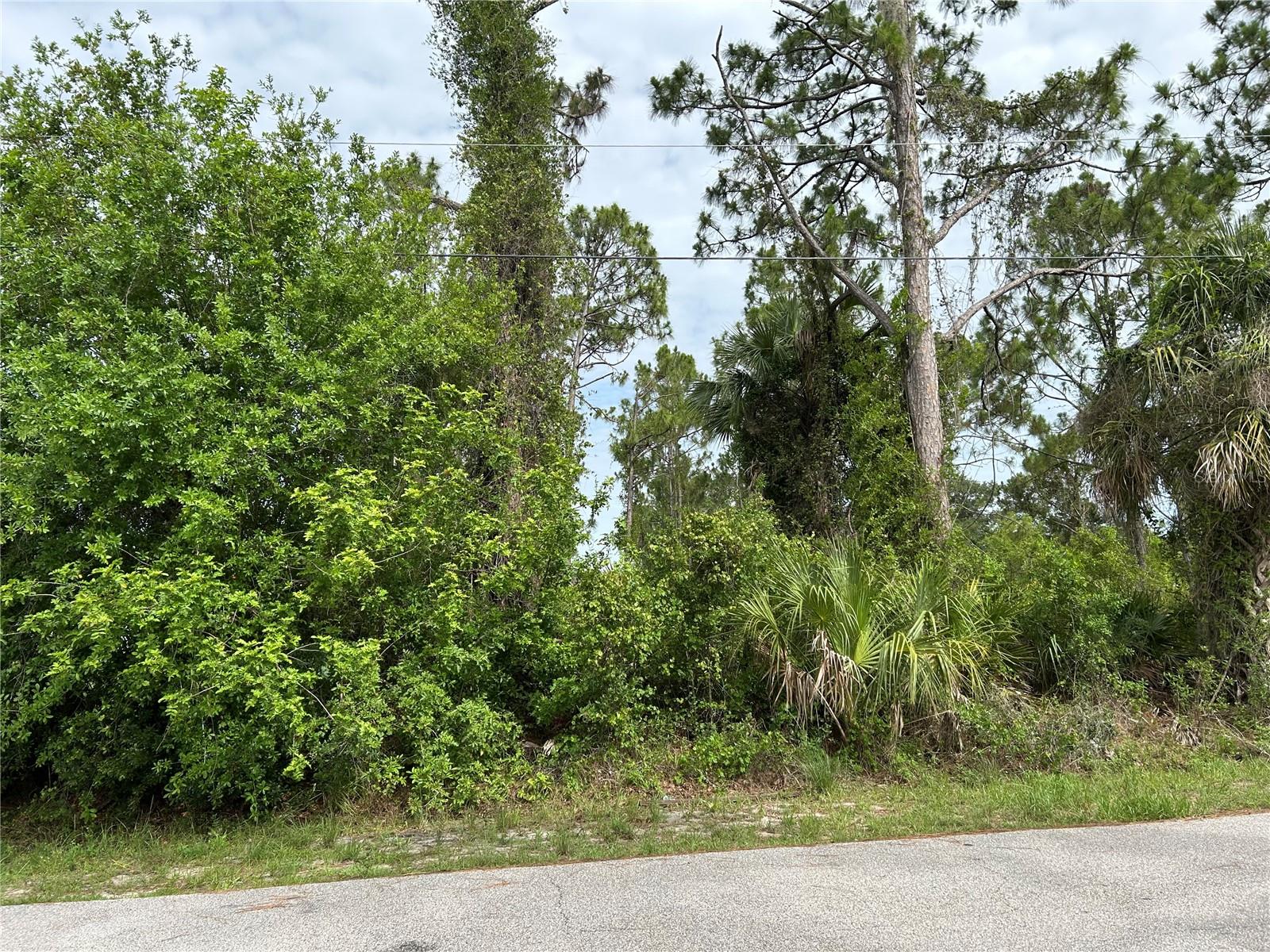 Great opportunity to build in developing North Port. Flood Zone X. If you are looking for a double lot, adjacent lot available (D6142614)