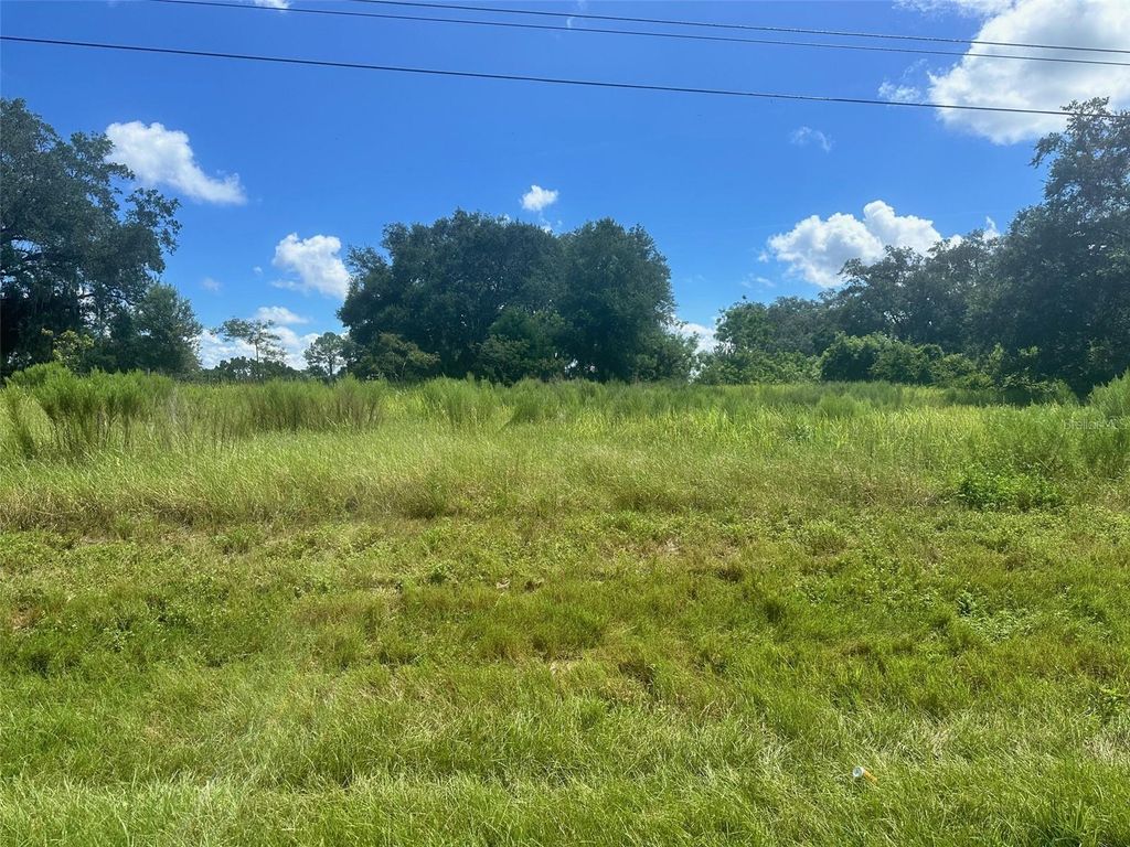 Photo of 0 Hwy 441, Summerfield, FL 34491 (MLS # OM707387)