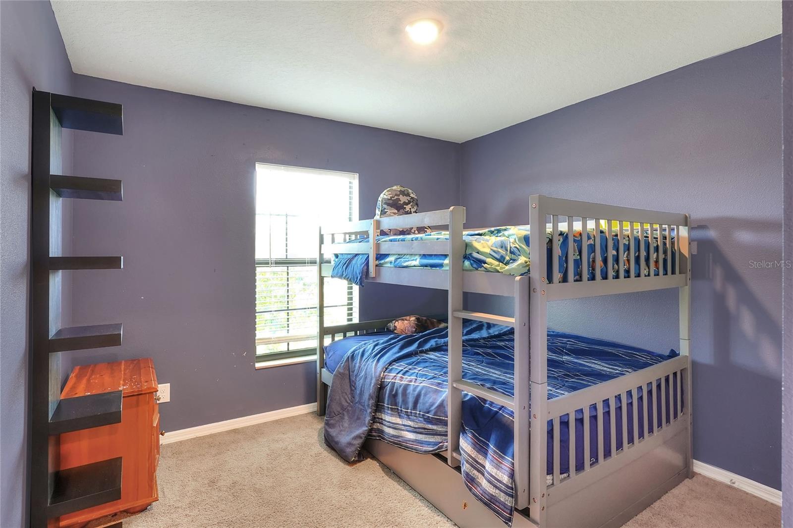 RIDGE/SWAN LAKE - Residential