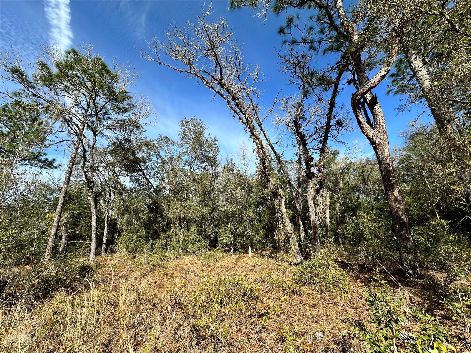 OCALA HIGHLANDS WEST - Land