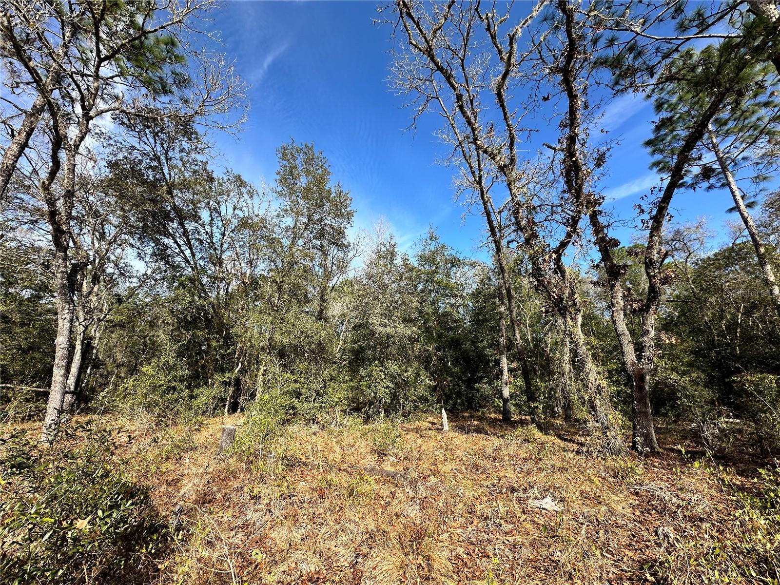 OCALA HIGHLANDS WEST - Land
