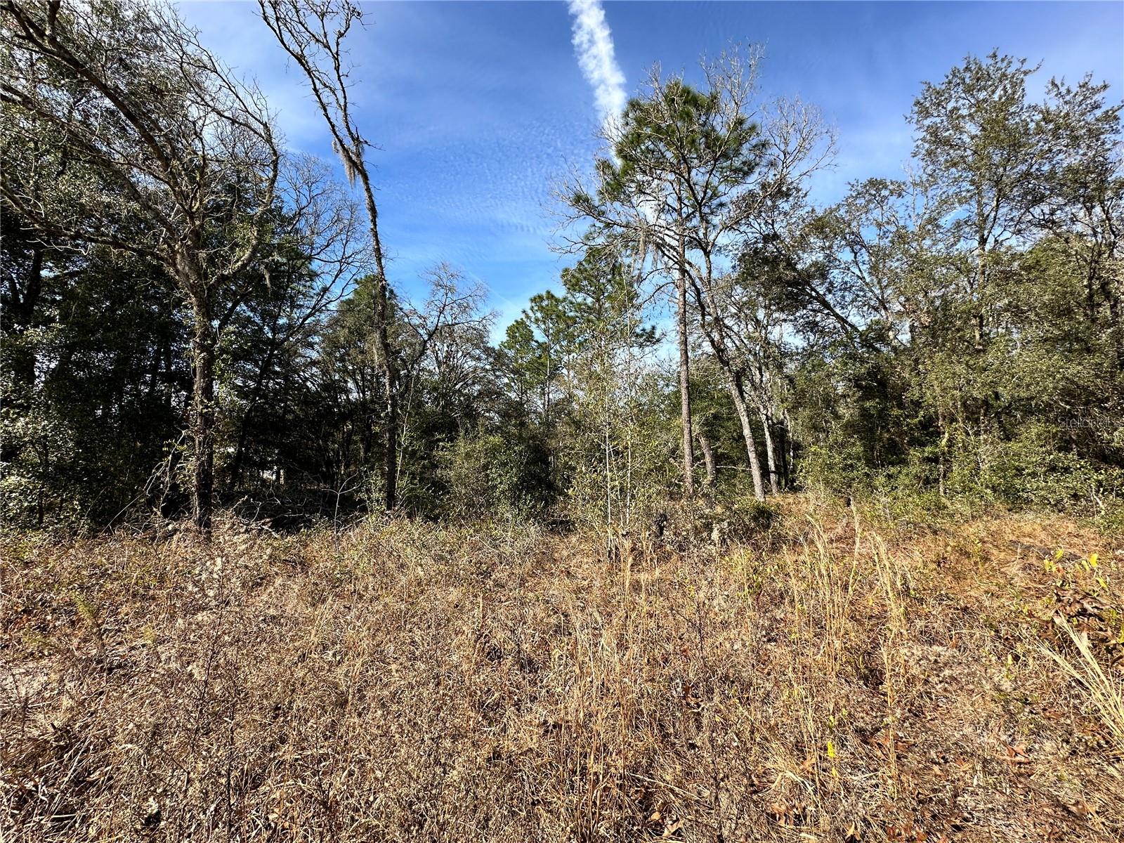 OCALA HIGHLANDS WEST - Land