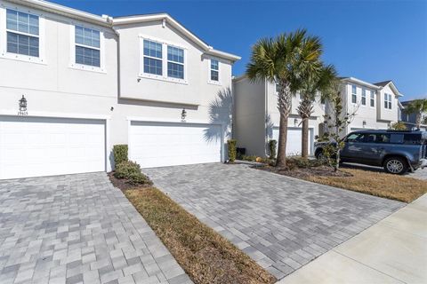 Photo of 19421 Monarch Wind Way, Lutz, FL 33558 (MLS # W7883052)