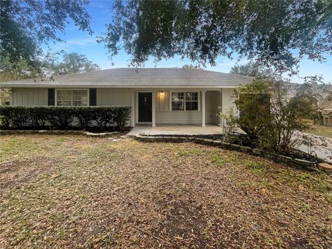 A home in MOUNT DORA