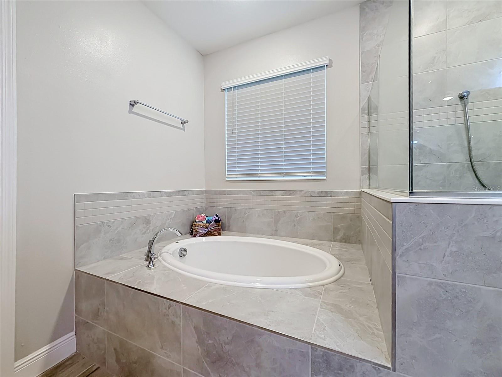 WINGSPREAD FRUITLAND PARK - Residential