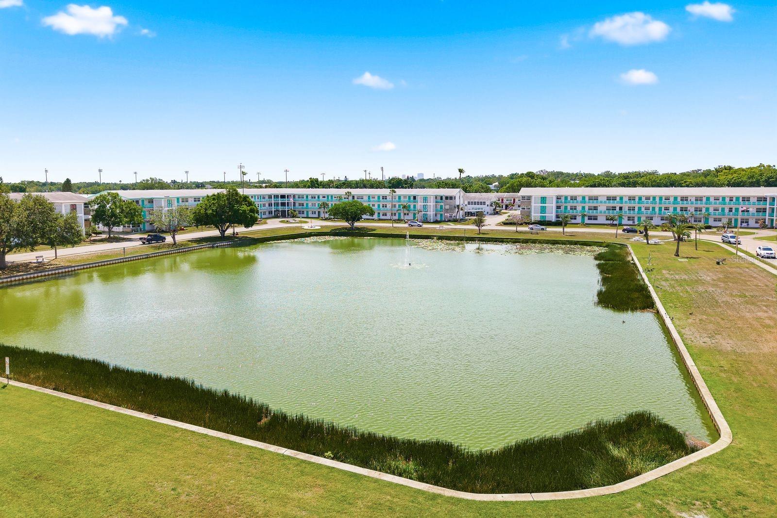 TOWN APTS CONDO - Residential