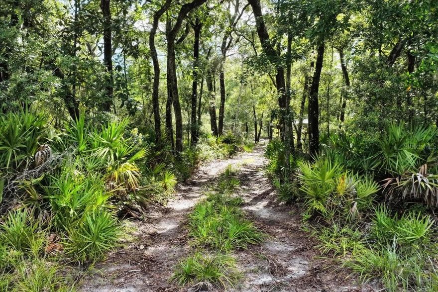 This 79.12 Acre Hunting Camp property is located across the street of the Lower Suwannee Refuge that is Approx. 53,000 Acres of Land!! The  property has two parcels that are adjacent to each other there is a 20 acre parcel that is located on CR-347 and the second parcel that is 59.12 acres starts at the back end of the 20 acres and ends at Gator Walk Road and Fox Trot the property includes one Large Camper with well and game cleaning station. The camp is currently off the grid but you want to get electricity the power pole is near by and Also there are Trails, feeders and stands through out the property. There is quality habitat that supports year-round hunting for deer, turkey, and hogs.  There are also lots of bear, bobcats, coyotes, panthers and much more in the area. The property is a mix of upland sandhills, bottomland swamps, oak hammocks, thick bedding areas, open areas for food plots. Tree and plant species include oak, bay, maple, palmetto, broadleaf forbs, warm-season grasses, and some pine. Strong populations of deer, turkey, and hogs exist on the property which provide year-round opportunities for great hunting. Well-developed interior and perimeter road system allows for access from any direction—ideal for minimizing pressure on wildlife and optimizing stand entry based on wind. This checks all of the boxes for a great hunting tracts: food, water, bedding, and game flow. The property is located within Tiger Island Sportsman’s Club, with privately owned parcels ranging from 30 to over 100 acres. Tiger Island is minutes from thousands of acres of public hunting land, 15 minutes to Cedar Key and the Gulf of America for fishing and coastal access, close to Suwannee River boat ramps and freshwater springs, 30 minutes to Chiefland for groceries, gas, and Walmart. Major cities including Tampa, Orlando, and Jacksonville are only 2-2.5 hours away. Shown by appointment only to qualified buyers.