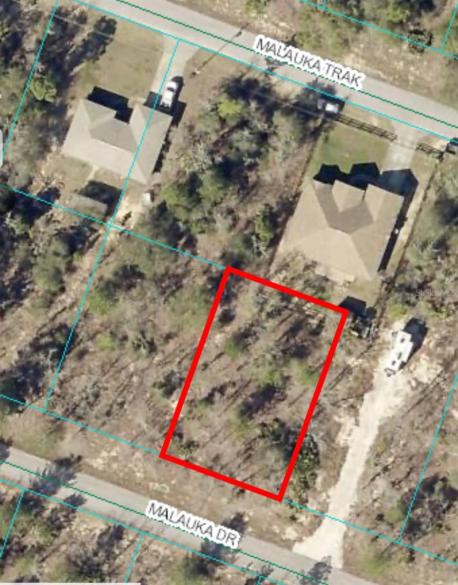 Welcome home! This Residential 0.23-Acre Lot is located in the rural but growing area of Silver Springs Shores. The lot is surrounded by new construction homes and there is much to explore in this area: close to many lakes, ponds, springs, The Ocklawaha River, Ocala National Forest and Lake Weir. Short drive to Ocala, Belleview and the Villages. NO HOA!
