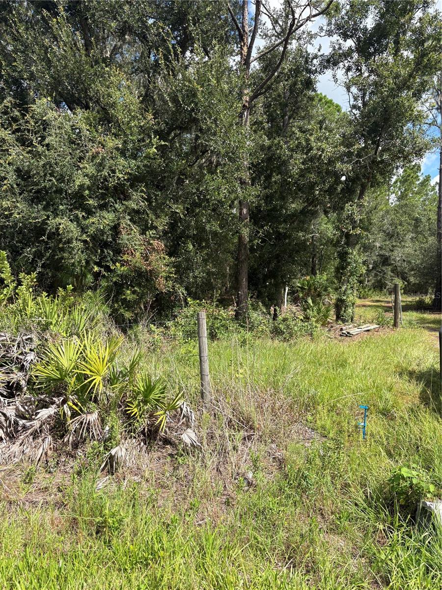 Photo of 5020 Wauchula Road, Myakka City, FL 34251 (MLS # A4709770)