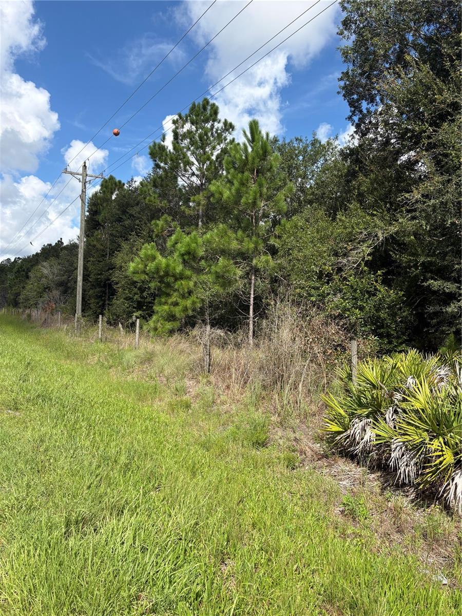 Photo of 5020 Wauchula Road, Myakka City, FL 34251 (MLS # A4709770)